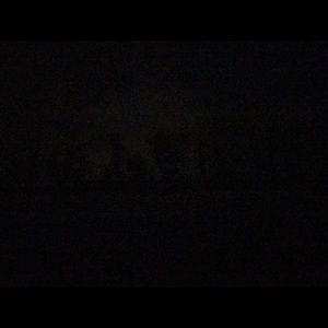 Meet your Posher, Maya